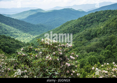 Vista delle Blue Ridge Mountains da Richard B. Russell Scenic Byway tra Blairsville e Helen, Georgia. (USA) Foto Stock