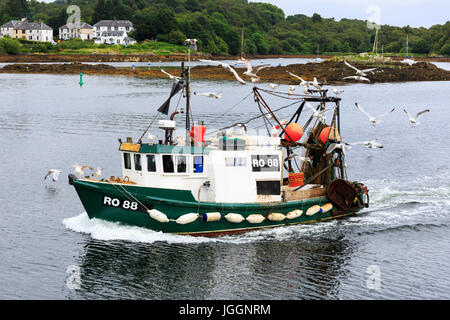 Barca da pesca che entrano in porto a Tarbert, Loch Fyne circondata da gabbiani, Scotland, Regno Unito Foto Stock