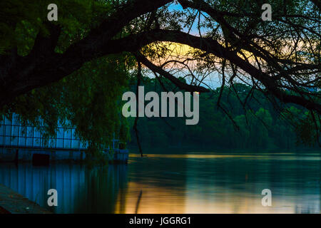 Il lago dal parco Herastrau con barche e un boathouse Foto Stock