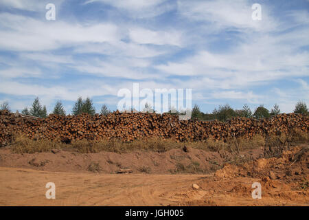 Area di rimboschimento, città, 2016 Luminárias, Minas Gerais, Brasile. Foto Stock