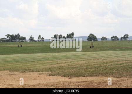 Attrezzature di irrigazione, terra, Autostrada Agnésio Carvalho de Souza, MG-335, 2016, Minas Gerais, Brasile. Foto Stock