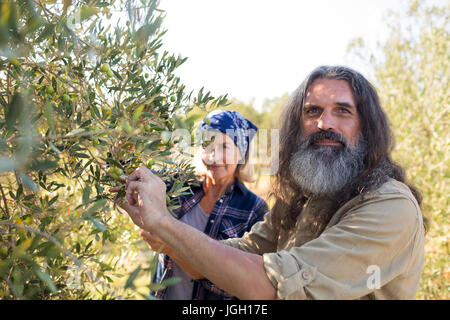 Ritratto di fiducioso giovane la raccolta delle olive in fattoria Foto Stock