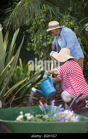 Coppia senior impianto di irrigazione mentre giardinaggio in cantiere Foto Stock