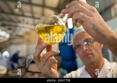 Il tecnico esaminando l' olio d' oliva in fabbrica Foto Stock