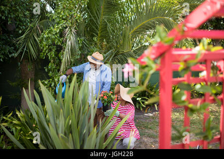 Paio di impianti di irrigazione mentre giardinaggio in cantiere Foto Stock