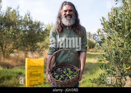 Ritratto di uomo felice azienda olive raccolte nel cestello in una giornata di sole Foto Stock