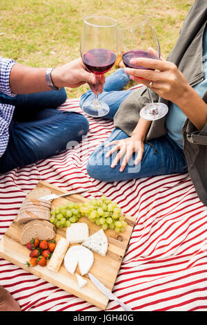 Immagine ritagliata della giovane tostare wineglasses durante i momenti di relax a prato Foto Stock