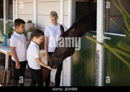 Tre bambini sorridenti alimentando il cavallo in stabile Foto Stock