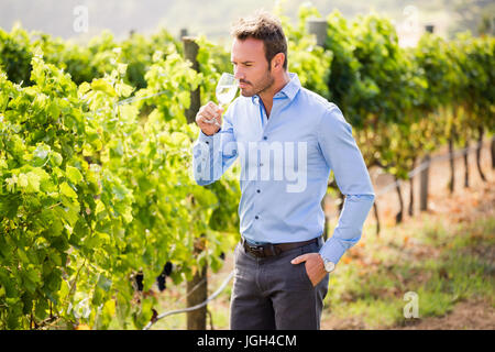 Uomo bello bere il vino durante il riposo a vigneto Foto Stock