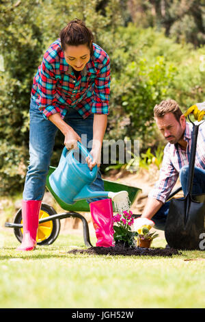 Per tutta la lunghezza della giovane donna uomo con impianto di irrigazione a prato sul giorno di sole Foto Stock