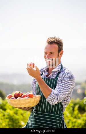 Sorridente giovane guardando apple contro sky sulla giornata di sole Foto Stock