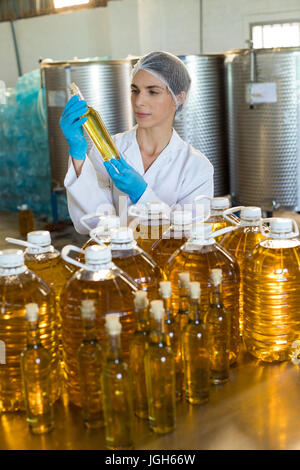 Tecnico femminile esaminando l' olio d' oliva in fabbrica Foto Stock