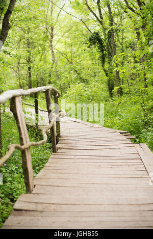 Ponte di legno in una foresta. Passerella in legno nel verde della foresta vicino al fiume Ropotamo, Bulgaria Foto Stock