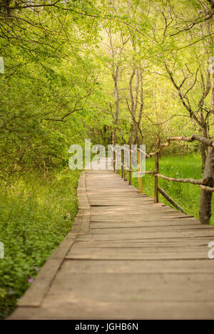 Ponte di legno in una foresta. Passerella in legno nel verde della foresta vicino al fiume Ropotamo, Bulgaria Foto Stock