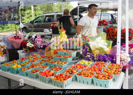 Mercato fresco fornitore con pomodori e fiori freschi Foto Stock