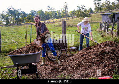 Giovani donne mulching dell'azienda, il lavoro di squadra, 20's Foto Stock