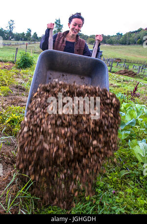 Giovane donna tipping carriola di strame sul farm, il lavoro di squadra, 20's Foto Stock