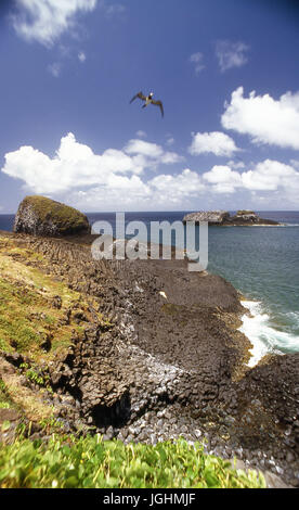 Il cous cous di l'isola di Fernando de Noronha, Pernambuco - Brasile Foto Stock