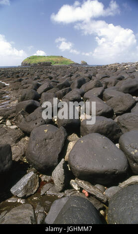 Il cous cous di l'isola di Fernando de Noronha, Pernambuco - Brasile Foto Stock