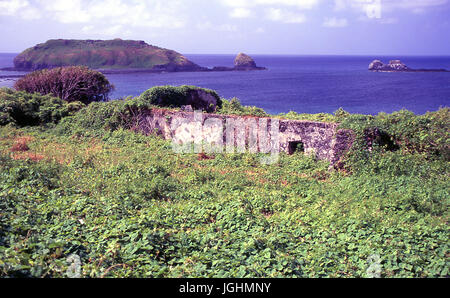 Il cous cous di l'isola di Fernando de Noronha, Pernambuco - Brasile Foto Stock