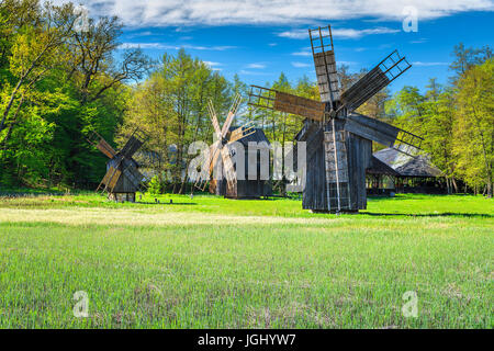 Transilvania mulini a vento in legno in Astra Museo Etnografico, Sibiu, Romania, Transilvania, Europa Foto Stock