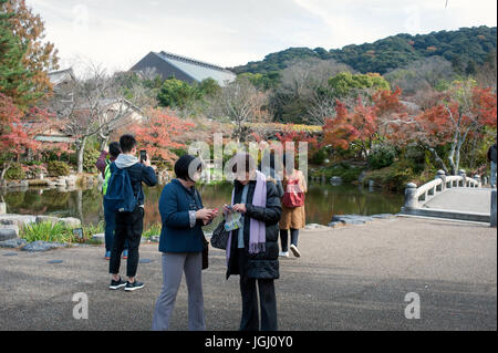 Turistico a Maruyama-Koen park di scattare le foto con il telefono Foto Stock