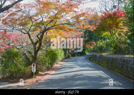 Kyoto, Giappone - Rosso fogliame a Maruyama-koen park Foto Stock