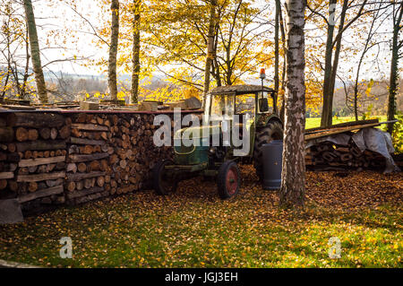 Un vecchio arrugginito trattore parcheggiato vicino a un mucchio di registri sotto di betulle in autunno Foto Stock