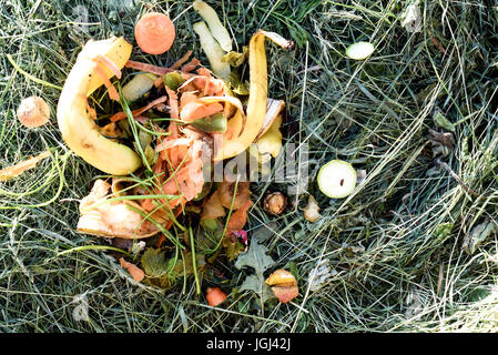 Avanzi di rifiuti di cucina da una casa depositato su un mucchio di composto. Riducendo in concime organico organic peeling e skin per il giardino di riciclo. Foto Stock