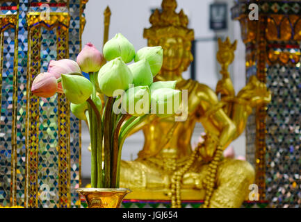 Fiori di loto di offerta per gli dèi a Erawan tempio a Bangkok, in Thailandia. Il Erawan indù santuario è un importante punto di riferimento nel centro di Bangkok. Foto Stock