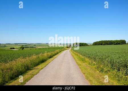 Un paese di estate attraverso la strada agricola campi patchwork in yorkshire wolds sotto un cielo blu Foto Stock