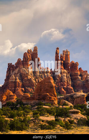 La veduta dalla Devils Kitchen campeggio con la vista verso Chesler Park nel Parco Nazionale di Canyonlands, Utah, Stati Uniti d'America Foto Stock