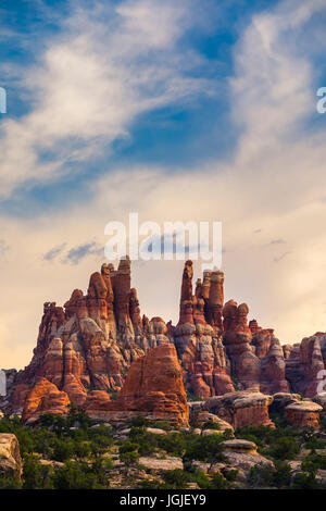 La vista dalla Devils Kitchen campeggio con la vista verso Chesler Park nel Parco Nazionale di Canyonlands, Utah, Stati Uniti d'America Foto Stock