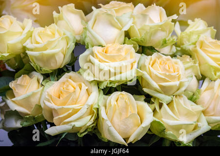 Un boquet di rose Foto Stock
