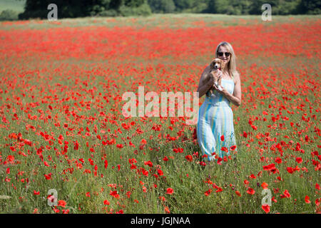 Eynsford, Kent, Regno Unito. 7 Luglio, 2017. Elizabeth Cooper nella foto con 11 settimane vecchio cucciolo cockapoo Pip in un campo di papaveri in Eynsford, Kent, oggi. Rob Powell/Alamy Live News Foto Stock