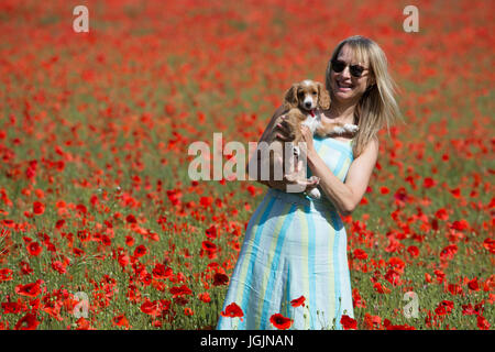 Eynsford, Kent, Regno Unito. 7 Luglio, 2017. Elizabeth Cooper nella foto con 11 settimane vecchio cucciolo cockapoo Pip in un campo di papaveri in Eynsford, Kent, oggi. Rob Powell/Alamy Live News Foto Stock