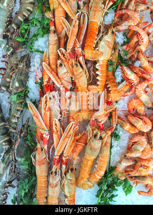 Pressione di stallo di frutti di mare su un mercato provenzale dotate di materie gamberoni e pronto a mangiare gamberetti e gamberi di fiume Foto Stock