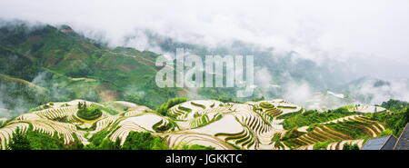 Panorama di nebbia di riso terrazzati in campo Longji, area di Guilin, Cina Foto Stock