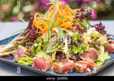 Disseccata ahi tonno servita con verdure miste, le carote grattugiate e le cipolle verdi Foto Stock