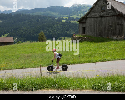 Swiss Mountain Vistas vicino Gamplüt e Wildhauser Schafberg Foto Stock