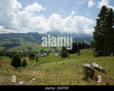 Swiss Mountain Vistas vicino Gamplüt e Wildhauser Schafberg Foto Stock