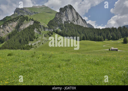 Swiss Mountain Vistas vicino Gamplüt e Wildhauser Schafberg Foto Stock