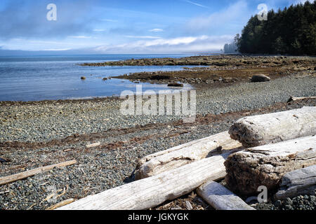 La costa vicino a Port Hardy, Isola di Vancouver, British Columbia, Canada Foto Stock