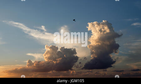 Fair weather Nuvole in un pomeriggio caldo in Texas Foto Stock