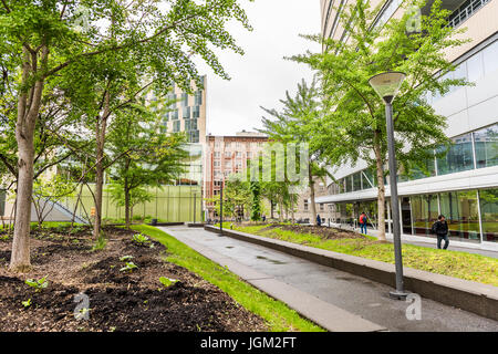 Montreal, Canada - 26 Maggio 2017: UQAM scienza scuola in università con vetro moderni edifici e parco con gli studenti a piedi Foto Stock