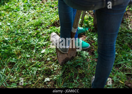 Volontario che si tuffa sulla pala per scavare un buco nel terreno. Foto Stock