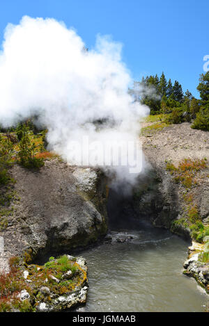 Draghi bocca molla, il parco nazionale di Yellowstone, Wyoming. Foto Stock