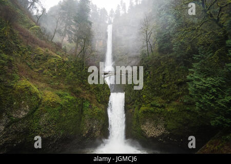 Multnomah cade in una giornata di pioggia. Foto Stock