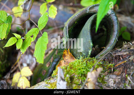 Viaggiare calzatura marcisce in legno - marciume escursioni in barca, Wanderschuh verrottet im Wald - marciume escursionismo boot Foto Stock