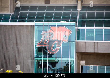 BC Lions Football, BC Place, Vancouver Canada Foto Stock